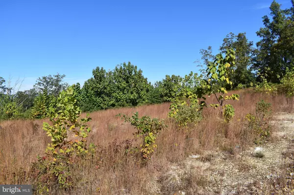 Waynesboro, VA 22980,LOT 5 FOX RIDGE LN