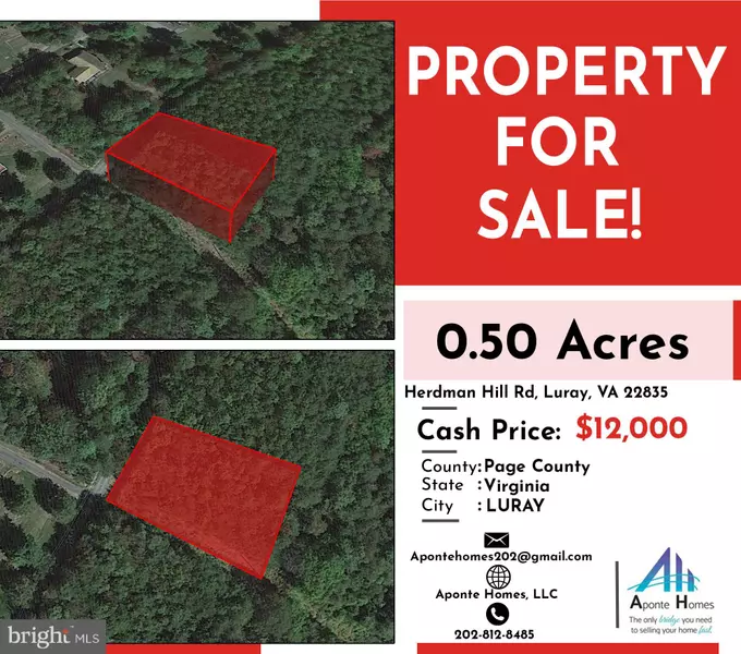 LOT #1 HERDMAN HILL RD, Luray, VA 22835