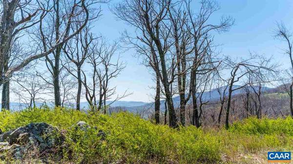 Afton, VA 22920,LOT 5 ELK MEADOW DR