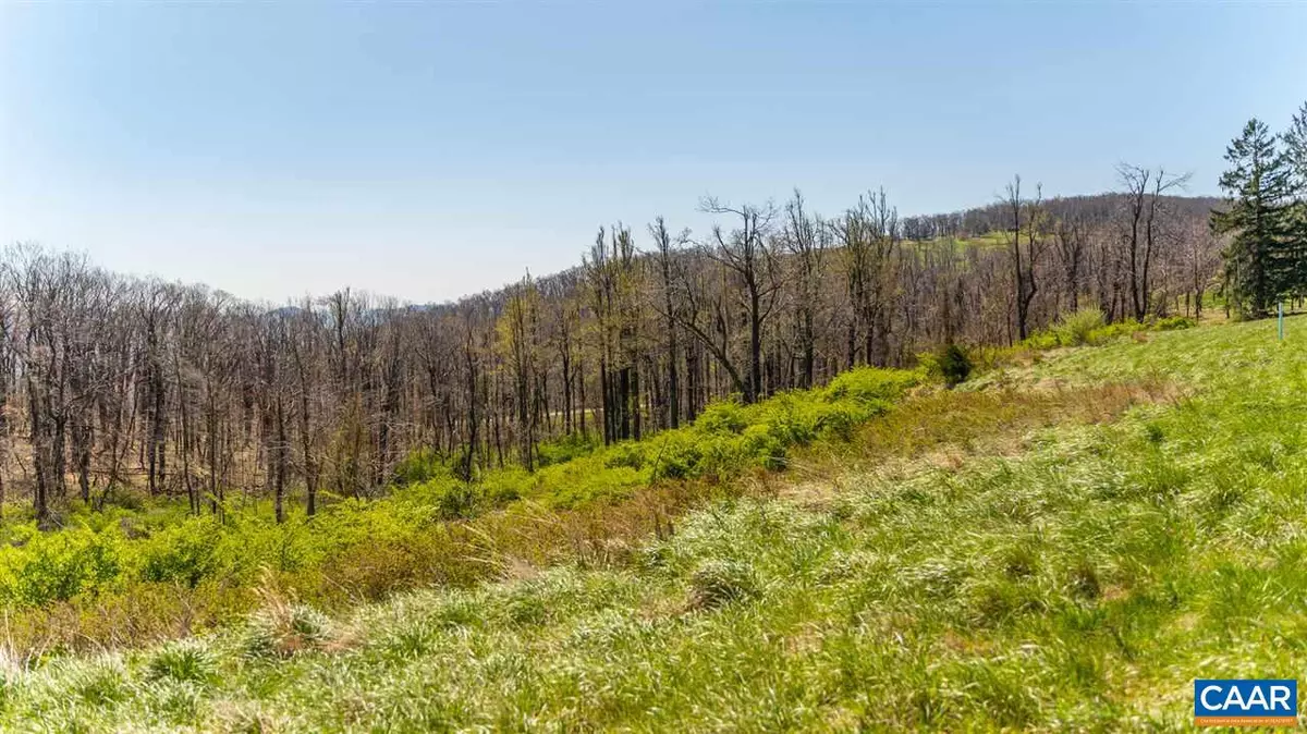 Afton, VA 22920,LOT 16 HOWARDSVILLE TPKE