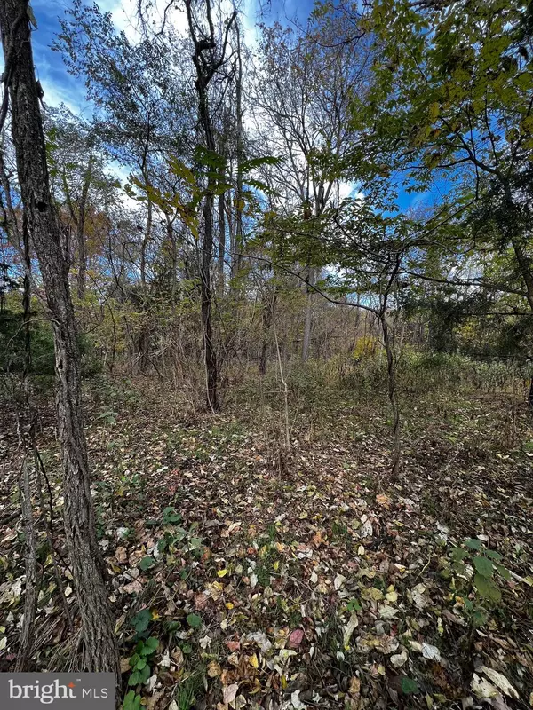 LOT 123 POPLAR RD, Front Royal, VA 22630