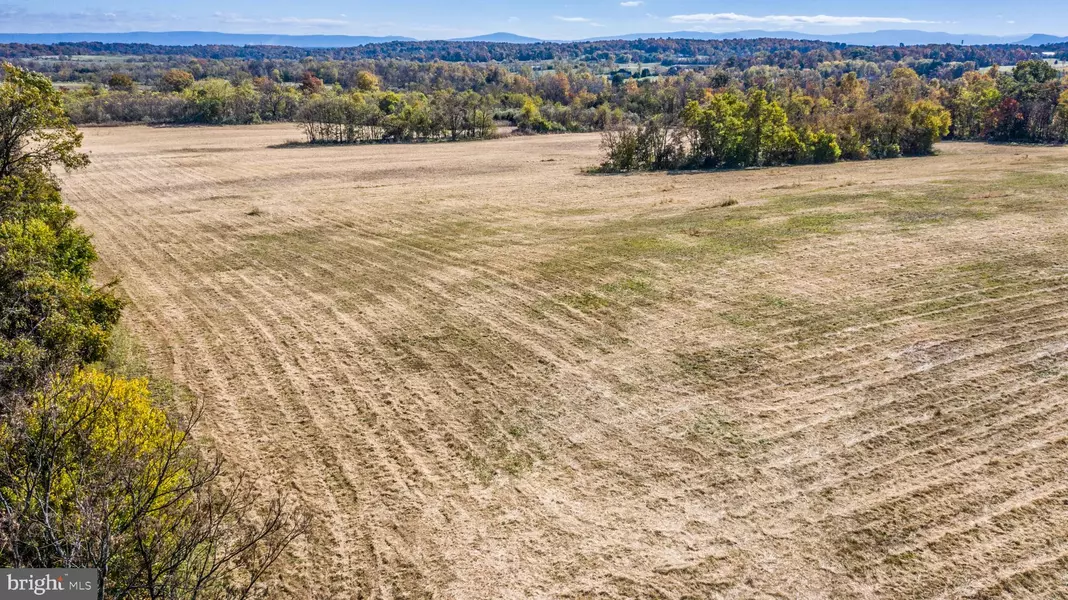 LOT 4 SINGHASS, Winchester, VA 22602