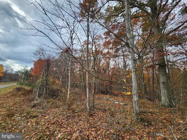 Great Cacapon, WV 25422,YORK LANE - LOT 2