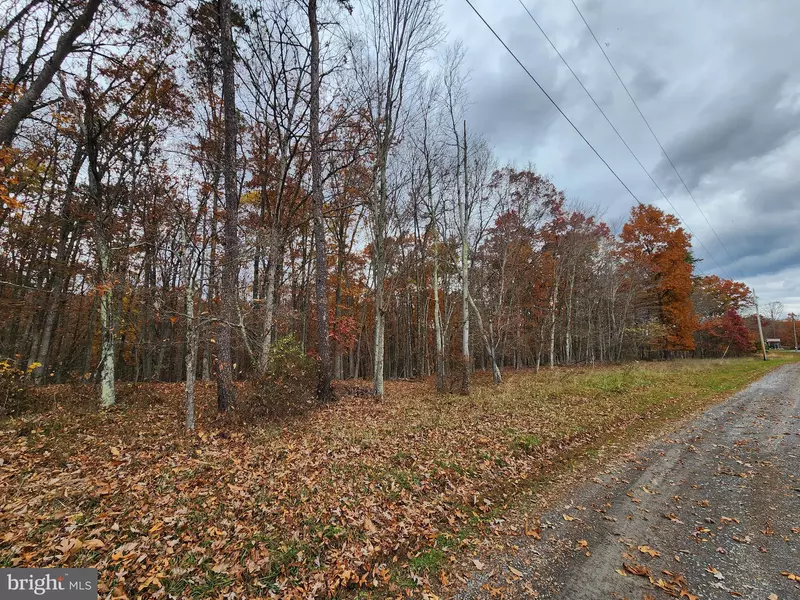 YORK LANE - LOT 2, Great Cacapon, WV 25422