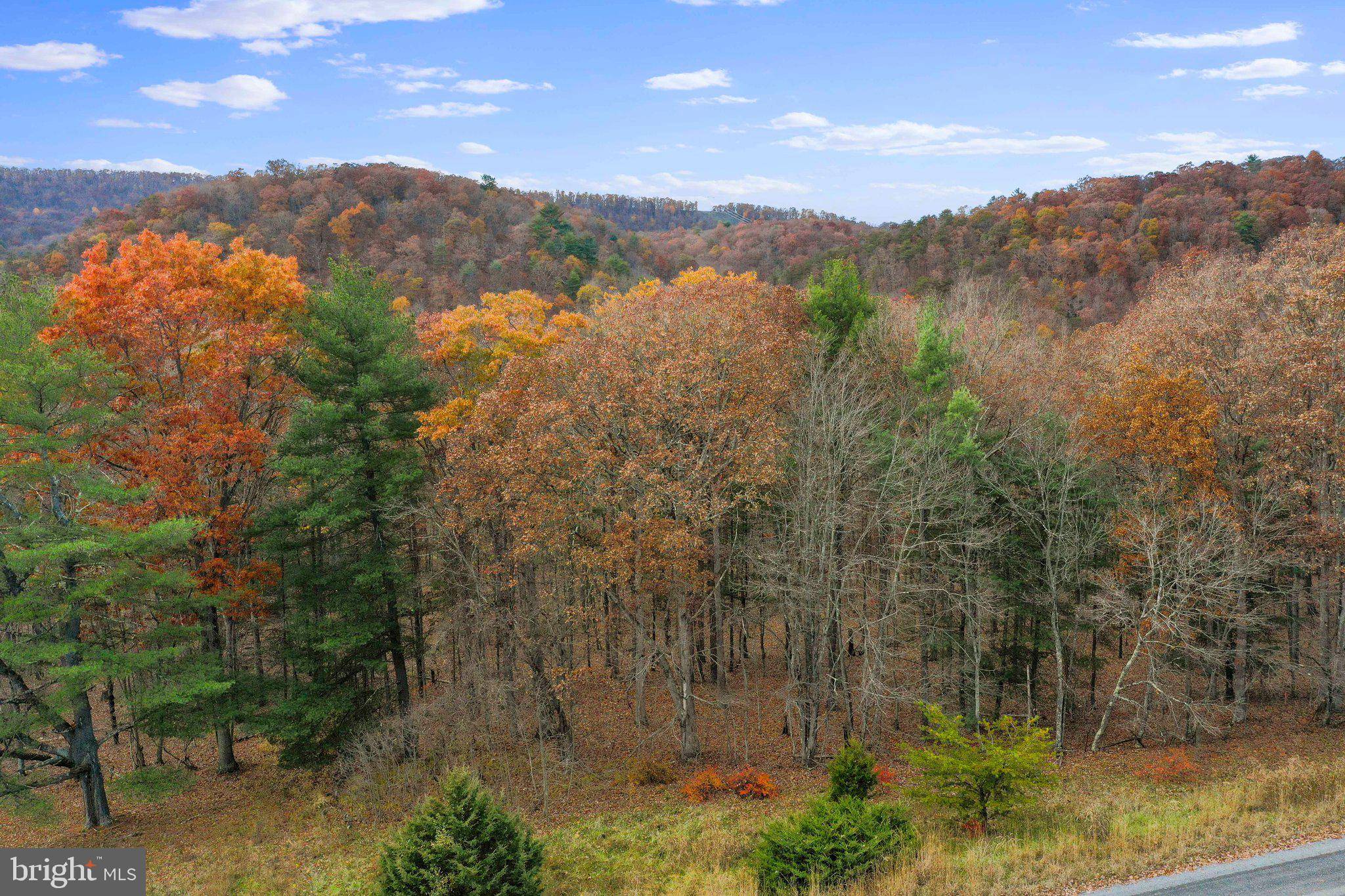Paw Paw, WV 25434,LOT 30 RIVER BEND DR