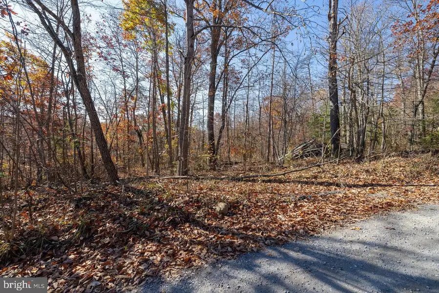 LOT G51 DEER TRACK RD, Luray, VA 22835