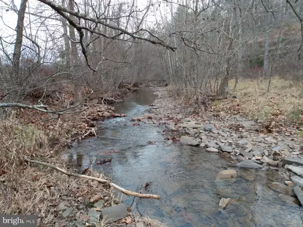 Berkeley Springs, WV 25411,1704 POSEY HOLLOW ROAD