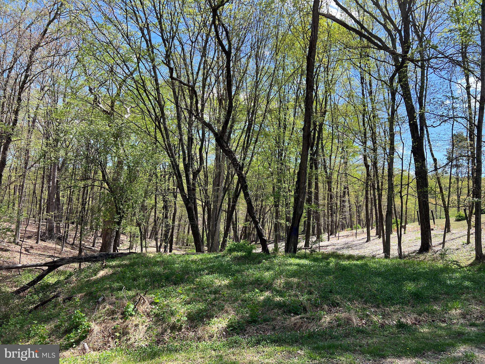 TIMBER RIDGE, Berkeley Springs, WV 25411