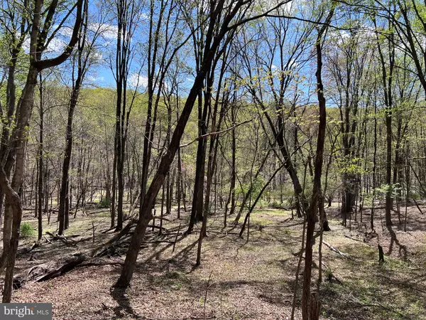 Berkeley Springs, WV 25411,TIMBER RIDGE