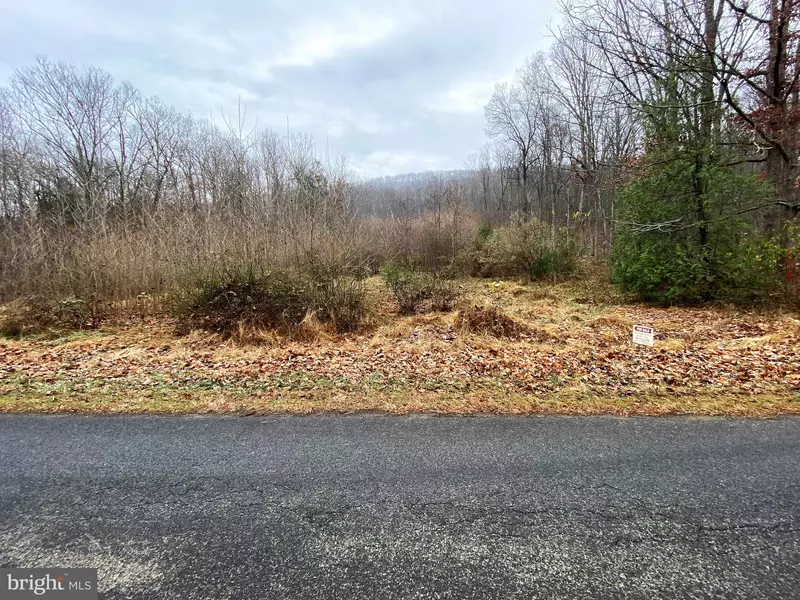 2095 TROUT RUN ROAD, Wardensville, WV 26851