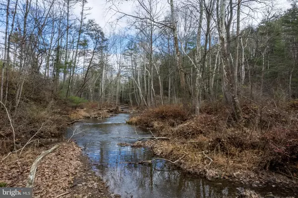 Cross Junction, VA 22625,N FREDERICK PIKE