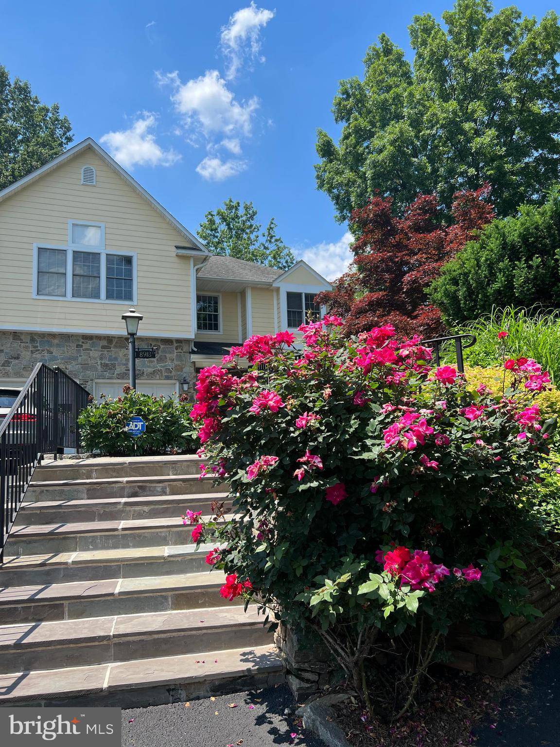 Chevy Chase, MD 20815,8918 CLIFFORD AVE