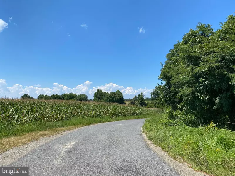 LOT #3 BOTTOM RD, Worton, MD 21678