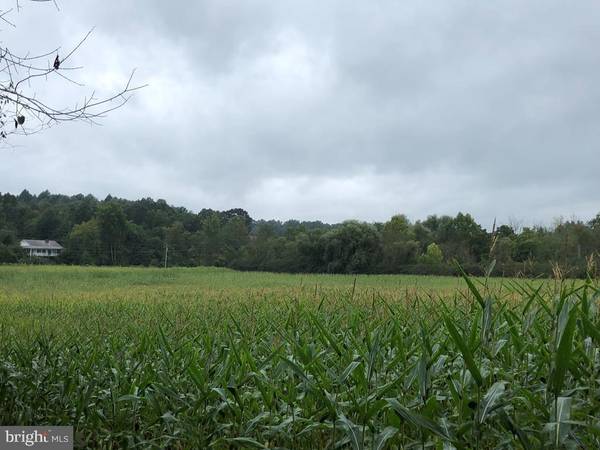 ON FERGUSON VALLEY ROAD RD, Mcveytown, PA 17051