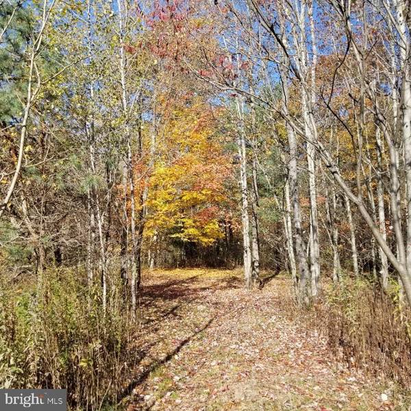 Olanta, PA 16863,LOT 2 LITTLE CLEARFIELD CREEK ROAD RD