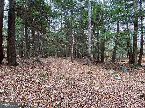 Smithmill, PA 16680,LOT 2 BARR ROAD RD