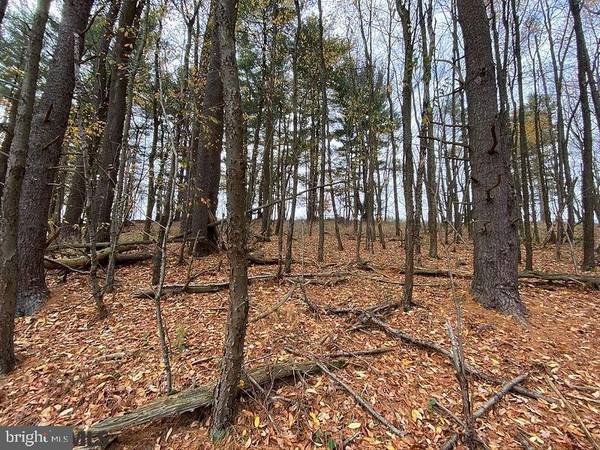 Smithmill, PA 16680,LOT 2 BARR ROAD RD