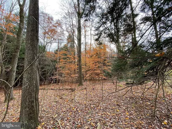 Smithmill, PA 16680,LOT 2 BARR ROAD RD