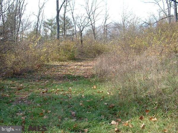 Spring Mills, PA 16875,ON WILDFLOWER LANE LN #LOT 7