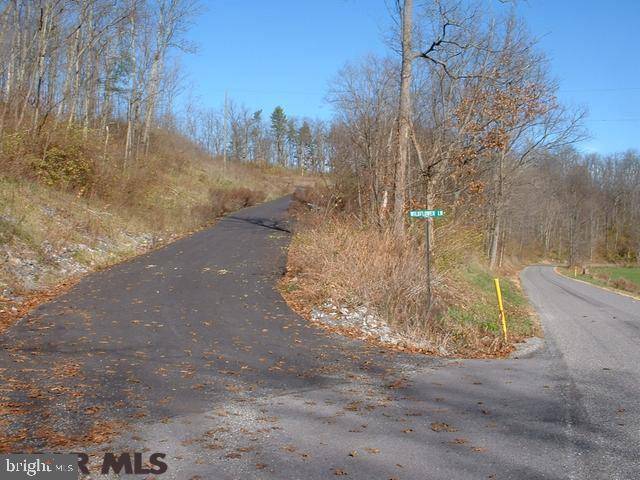 Spring Mills, PA 16875,ON WILDFLOWER LANE LN #LOT 7