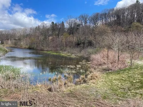 ON CARBON MINE ROAD RD, Clearfield, PA 16830