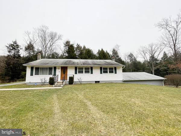 750 MUDLICK RD, Julian, PA 16844