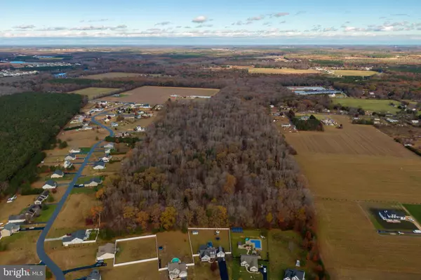 Millsboro, DE 19966,50 ACRES MORRIS MILL RD