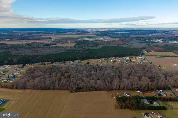 Millsboro, DE 19966,50 ACRES MORRIS MILL RD