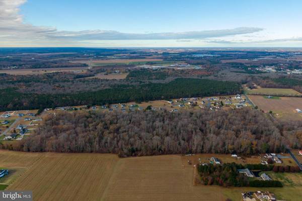 Millsboro, DE 19966,50 ACRES MORRIS MILL RD