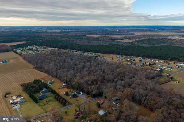 Millsboro, DE 19966,50 ACRES MORRIS MILL RD