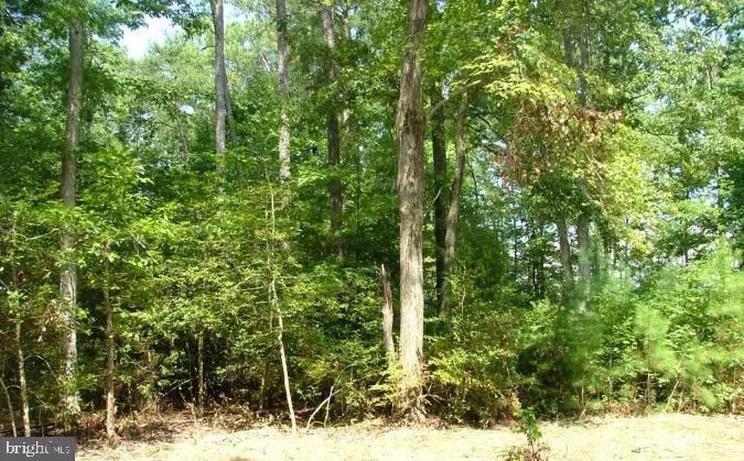 LOT 19 PINEY FOREST, Colonial Beach, VA 22443