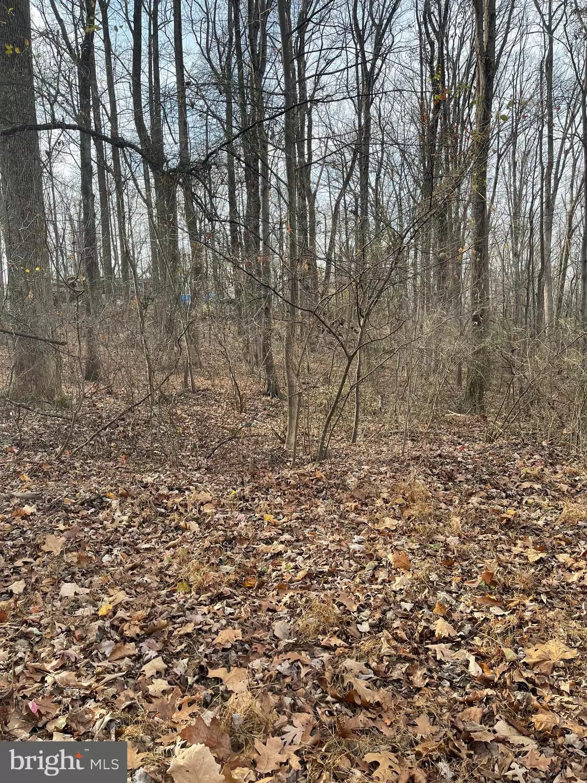 Harpers Ferry, WV 25425,LOTS 63, 64, 64A JOHNNYCAKE LN