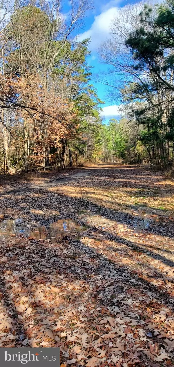 Colonial Beach, VA 22443,LOT #10 14TH ST ESTATES