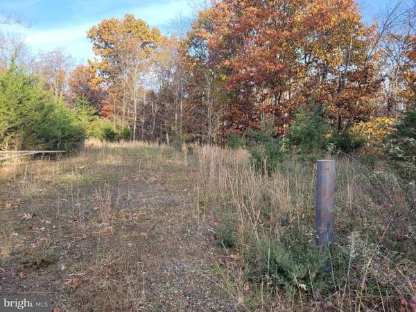 Bloomery, WV 26817,LOT 26 CABIN RUN RD.