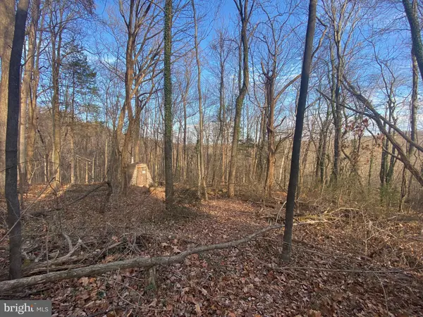 LOT 7 CHIMNEY HOLLOW RD, Syria, VA 22743