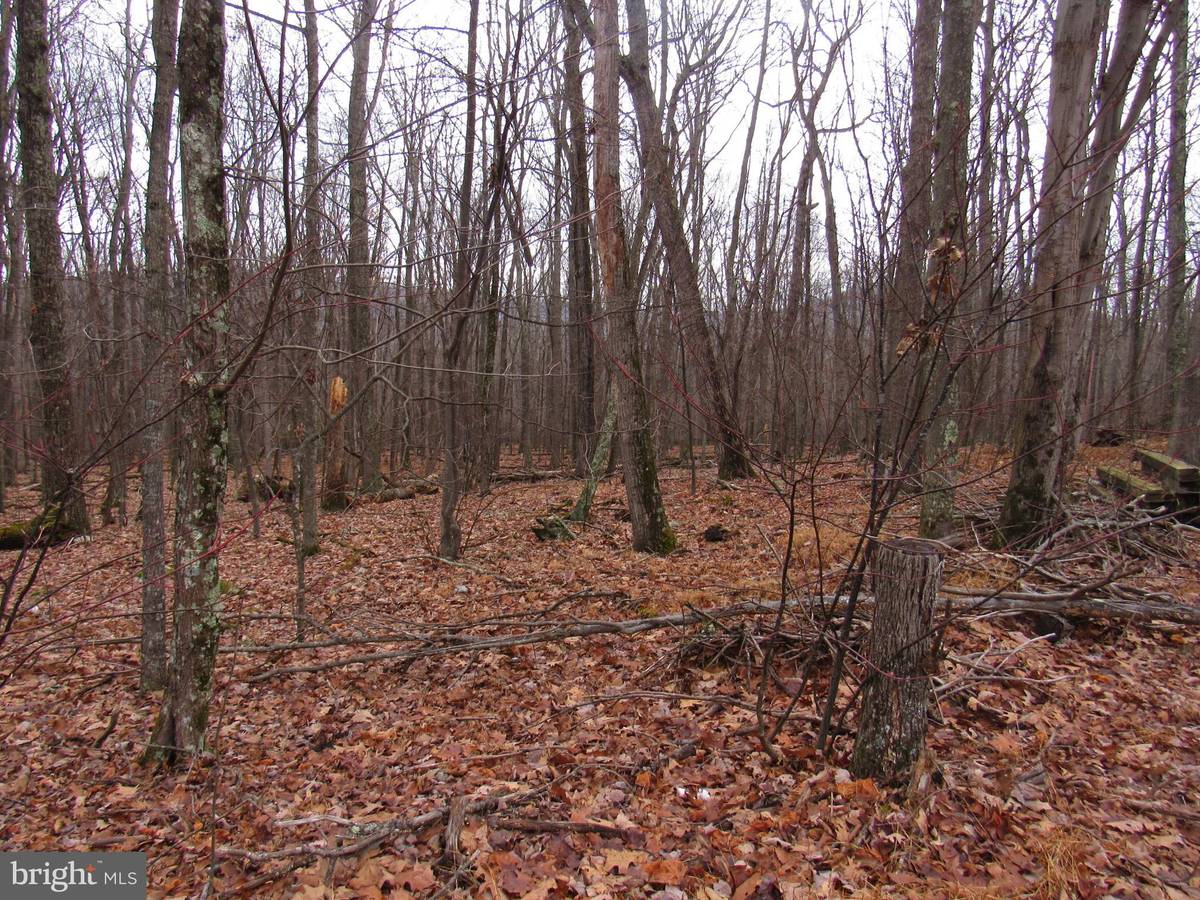 Mathias, WV 26812,LOT 21B COVE RUN ACRES DR