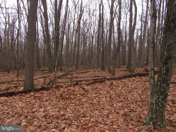 Mathias, WV 26812,LOT 21B COVE RUN ACRES DR