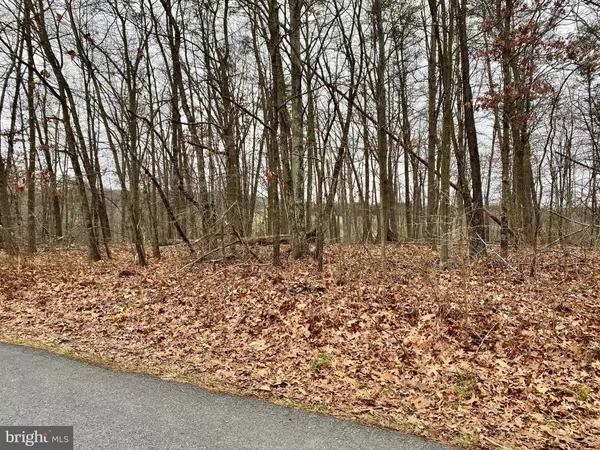 Capon Bridge, WV 26711,LOT 12 SHADY PINE DR