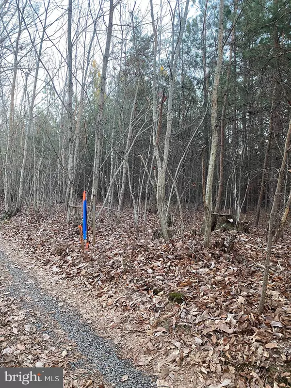 Culpeper, VA 22701,CROOKED RUN LOT 3