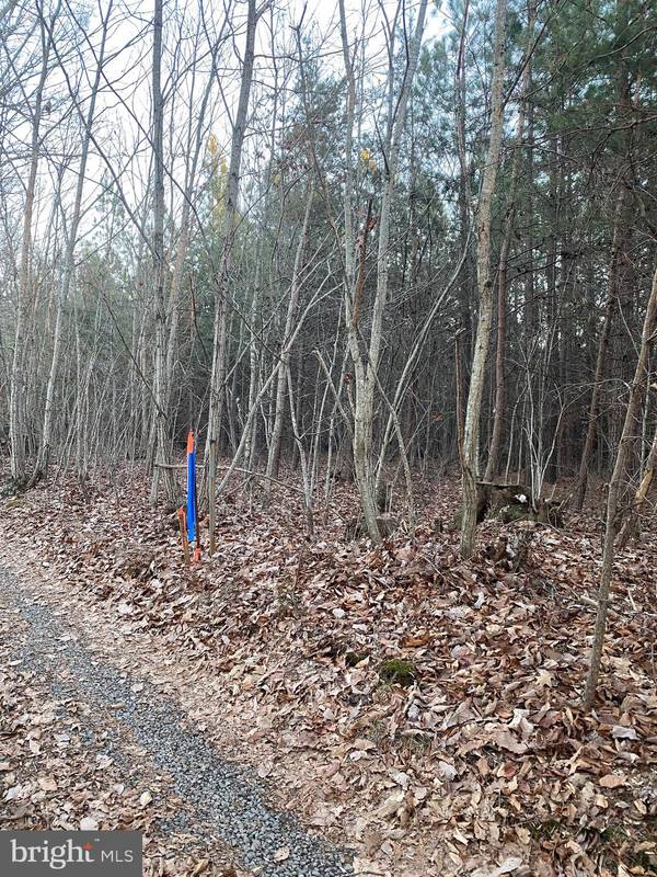 Culpeper, VA 22701,CROOKED RUN LOT 3