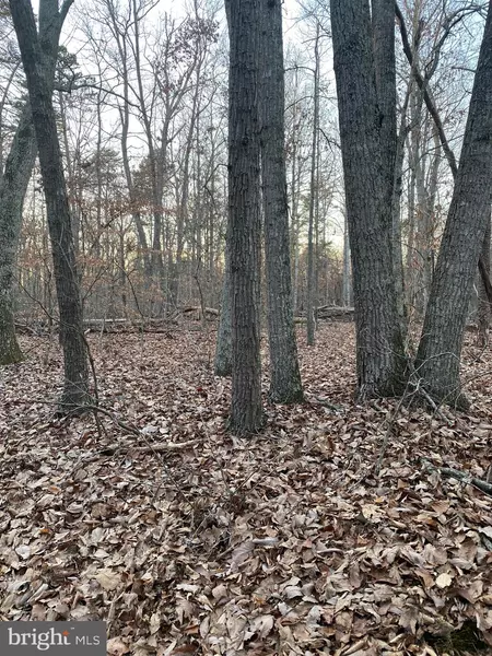 CROOKED RUN LOT 3, Culpeper, VA 22701