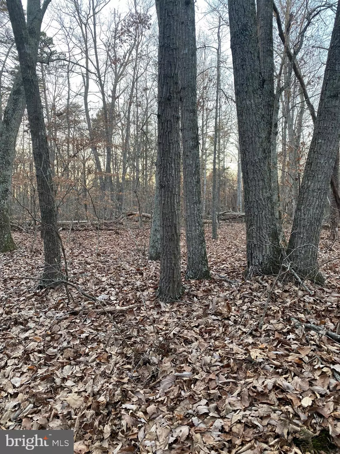 Culpeper, VA 22701,CROOKED RUN LOT 3