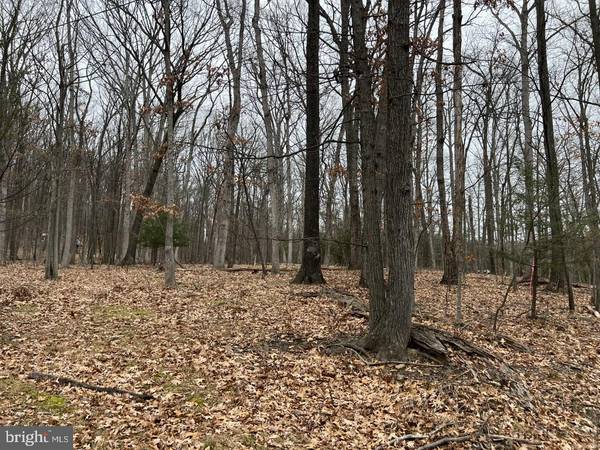 Hedgesville, WV 25427,0 FAWN RUN LN #LOT 27