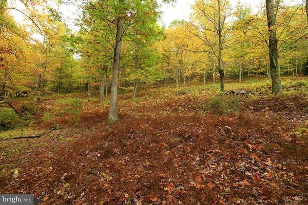 ON ELMOS LN #LOT 2, Spring Mills, PA 16875