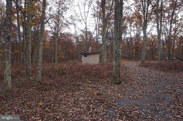 Snow Shoe, PA 16874,LOT #17 HICKLEN RIDGE ROAD RD