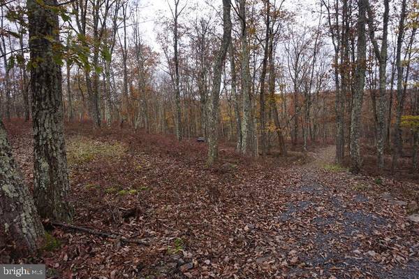 LOT #17 HICKLEN RIDGE ROAD RD, Snow Shoe, PA 16874