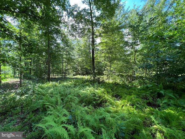 Spring Mills, PA 16875,LOT 3D DECKER VALLEY ROAD RD