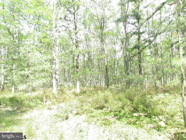 Snow Shoe, PA 16874,LOT #23 LITTLE WOLF RUN RIDGE ROAD RD