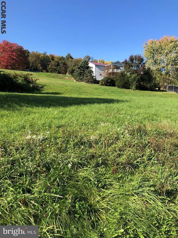 LOT 16 BIRCH DRIVE DR, Lewistown, PA 17044