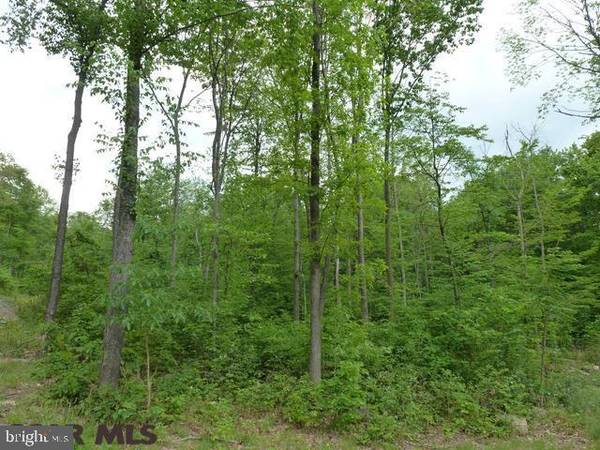 Saxton, PA 16678,LOT 21 TILLAMOOK LANE LN